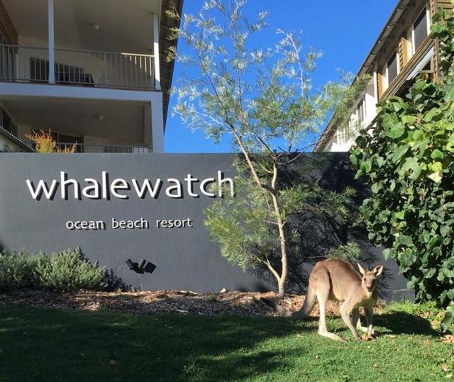 Whale Watch Ocean Beach Resort Point Lookout Exterior photo